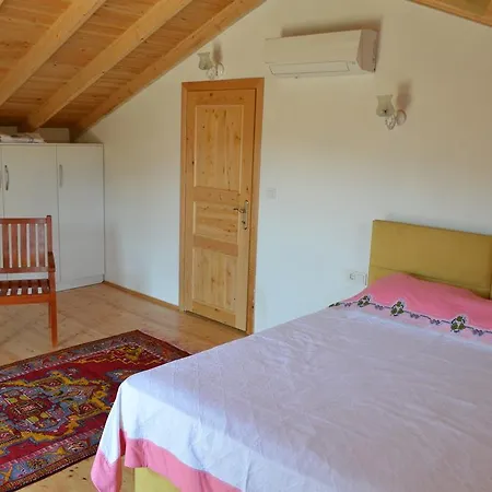 New Age Sedir Evi Villa *